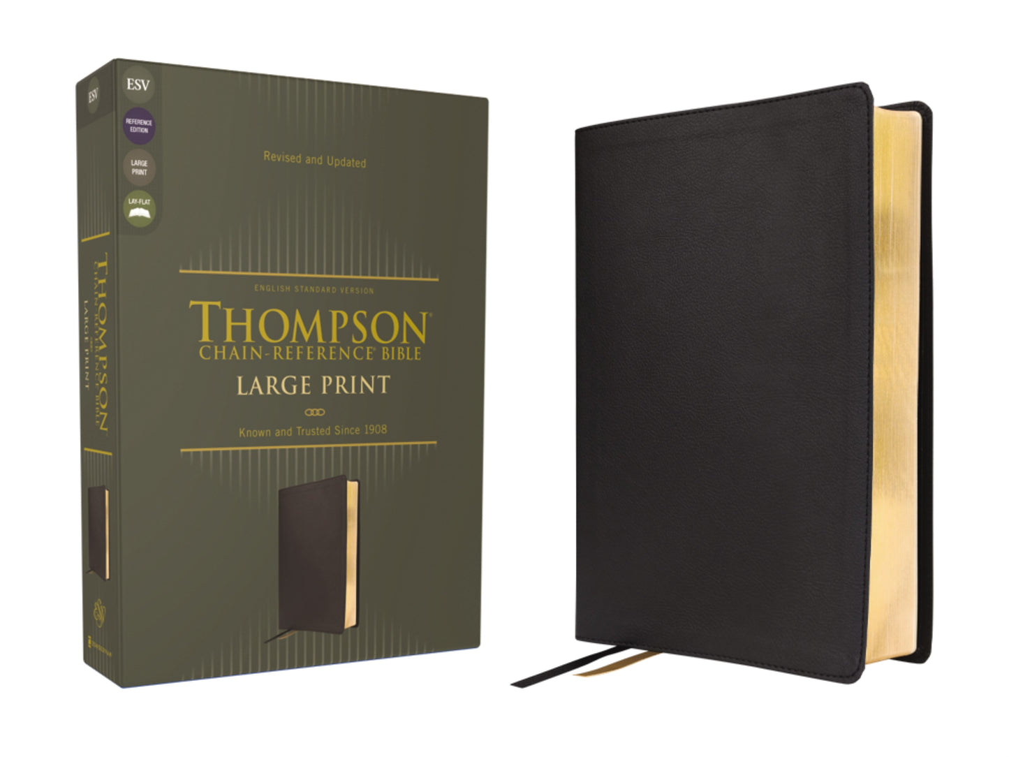 ESV Thompson Chain-Reference Bible/Large Print-Black Leathersoft