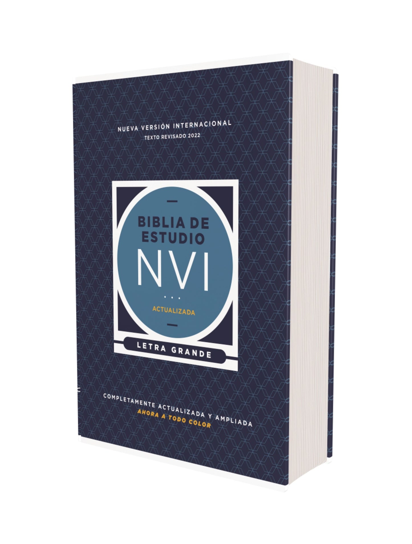 NVI Study Bible/Large Print (Revised Text 2022) (Biblia de Estudio Letra Grande)-Hardcover