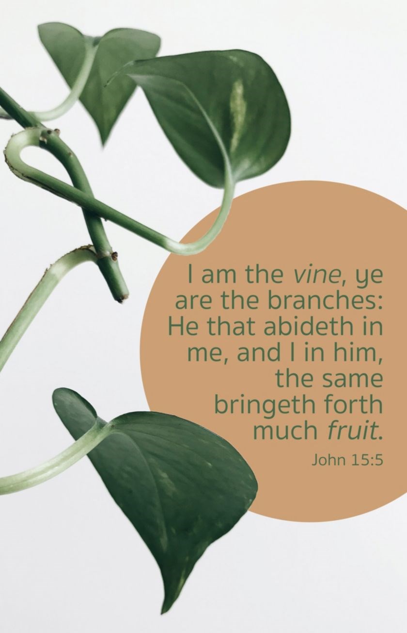 Bulletin-Much Fruit/I Am the Vine Ye Are The Branches... (Pack Of 100)