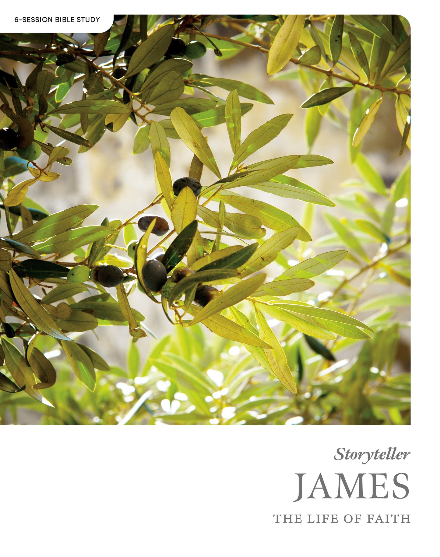 Storyteller: James Bible Study Book