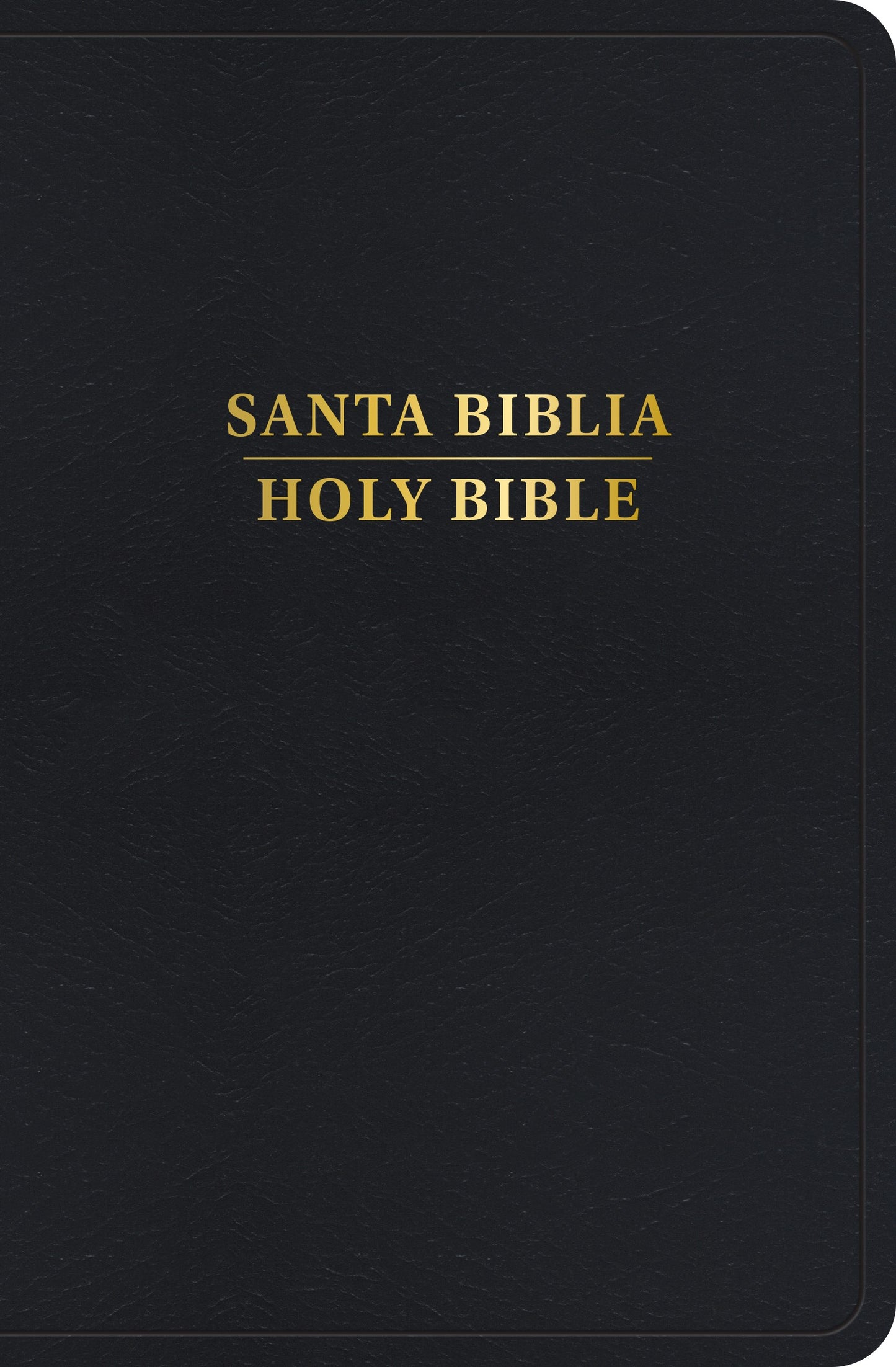 RVR 1960/KJV Personal Size Bilingual Bible (Biblia Bilingue Tamano Personal)-Black Imitation Leather