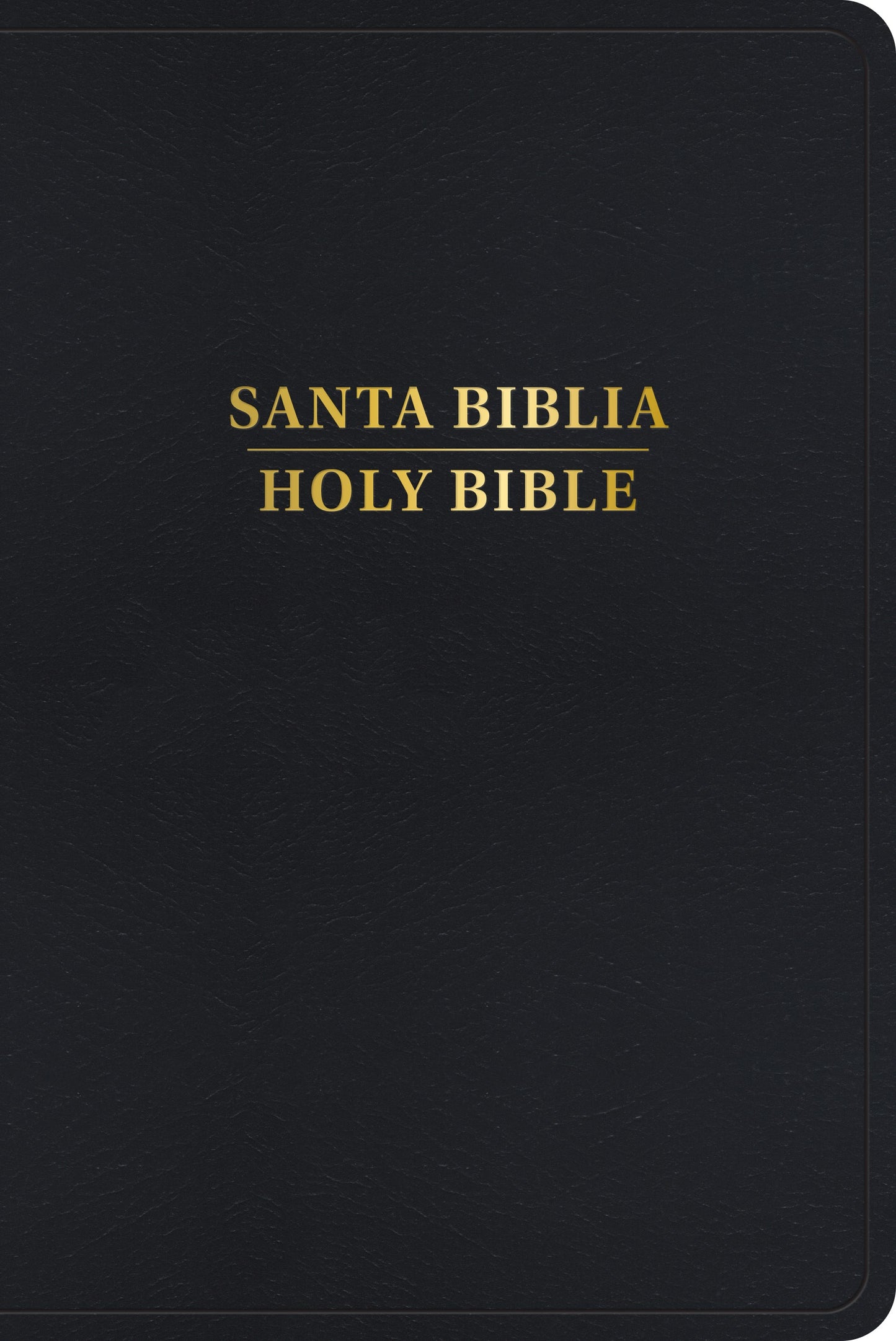 RVR 1960/KJV Biblia Bilingue (Bilingual Bible)-Black Imitation Leather