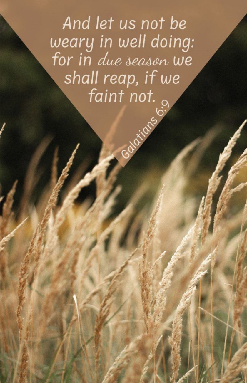 Bulletin-And Let Us Not Be Weary In Well Doing/In Due Season (Galatians 6:9 KJV) (Pack Of 100)