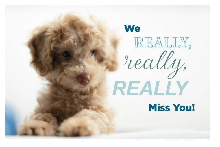 Postcard-We Really Really Really Mis You! (2 Peter 1:2 KJV) (Pack Of 25)
