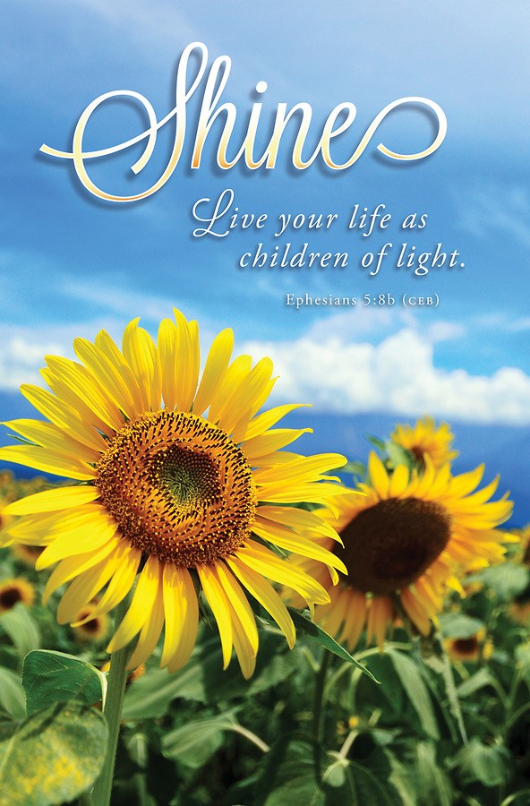 Bulletin-Shine: Live Your Life A Children Of Light (Ephesians 5:8b) (Pack Of 100)
