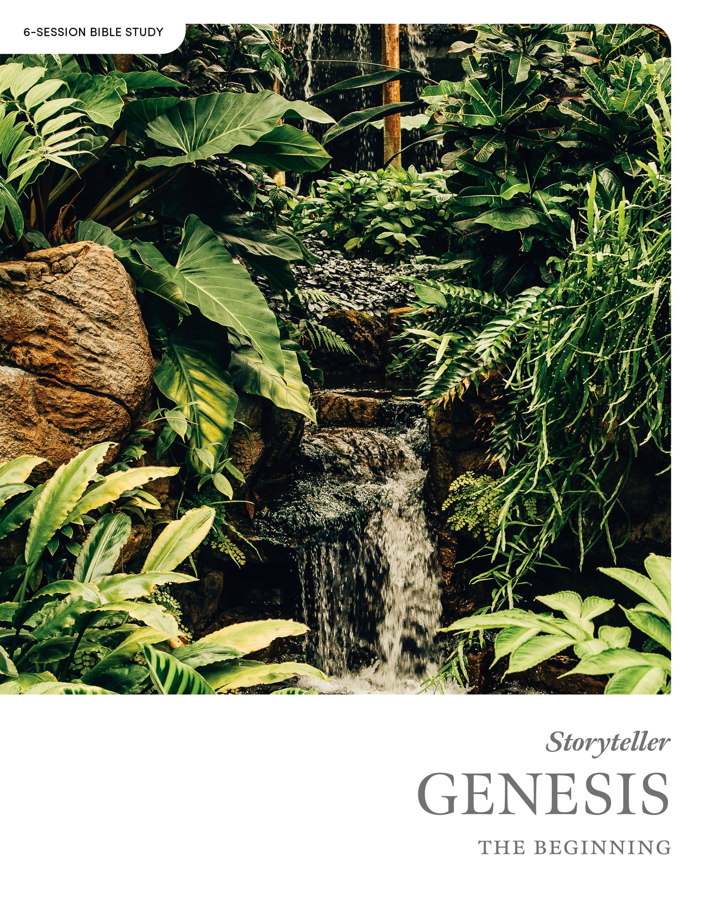Storyteller: Genesis Bible Study Book