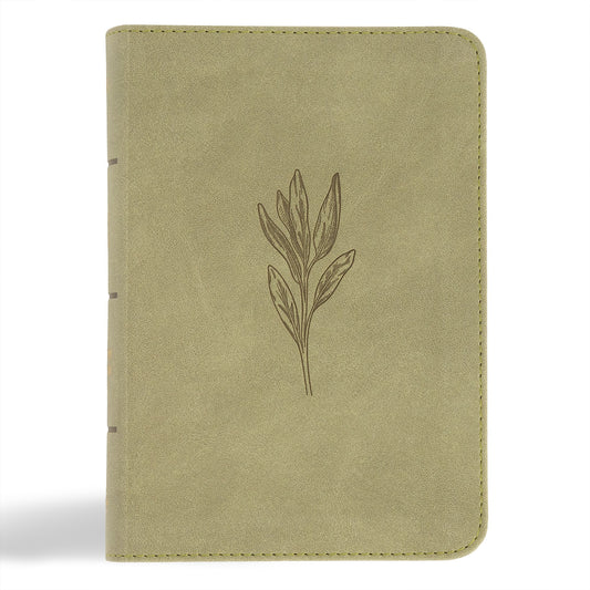 NASB 2020 Large Print Compact Reference Bible-Sage SuedeSoft LeatherTouch