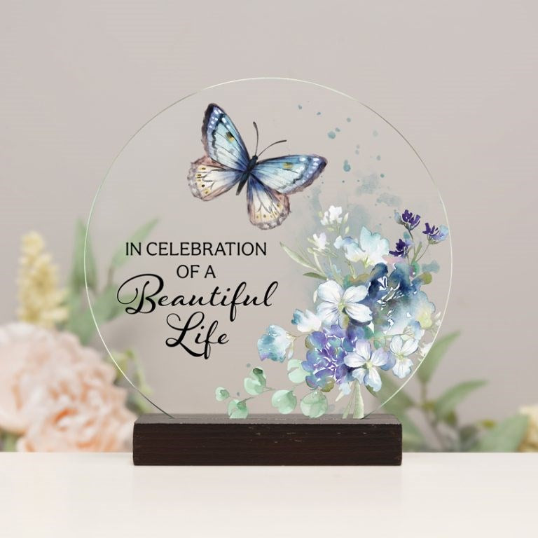 Round Sitter-In Celebration (6" Diameter) (Pack of 3)