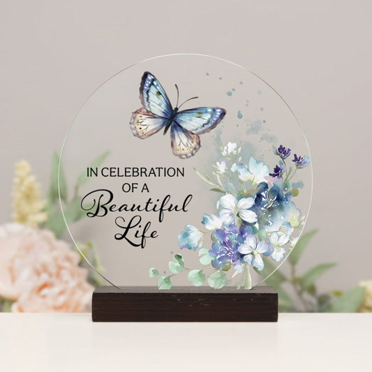 Round Sitter-In Celebration (6" Diameter) (Pack of 3)