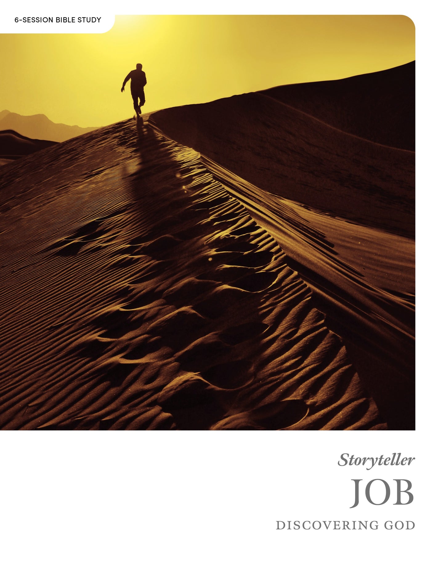Storyteller: Job Bible Study Book