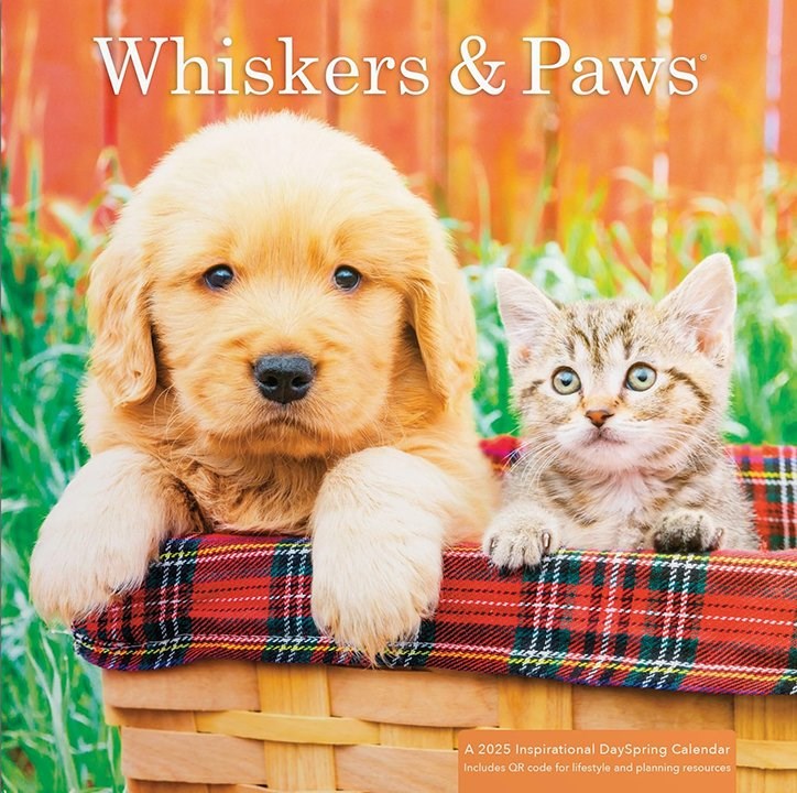 2025 Wall Calendar-Whiskers & Paws