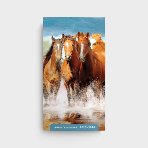 2025 Horses 28-Month Planner