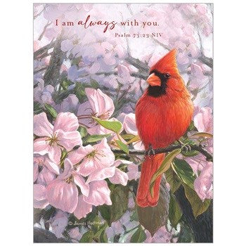Notecards-Boxed-Cardinal's Promise (Pack Of 10)