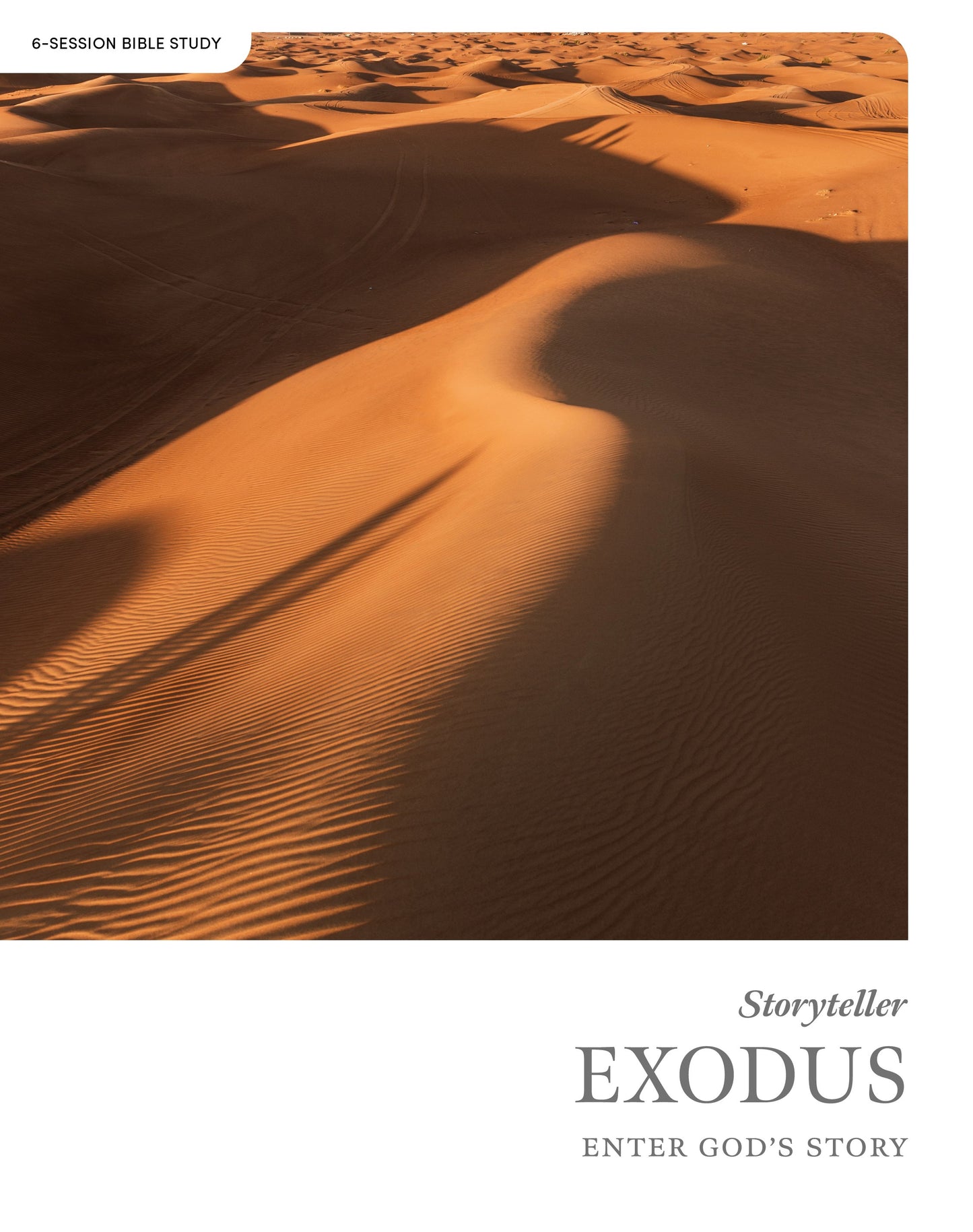 Storyteller: Exodus Bible Study Book