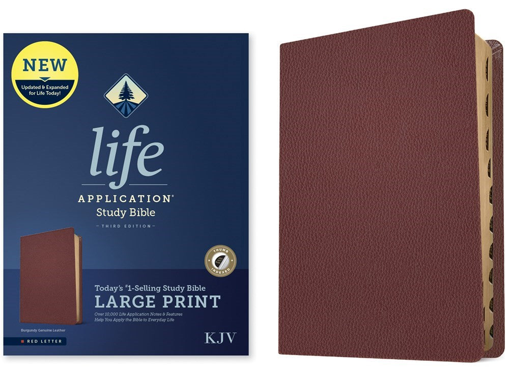 KJV Life Application Study Bible/Large Print (Third Edition)-Burgundy Genuine Leather Indexed