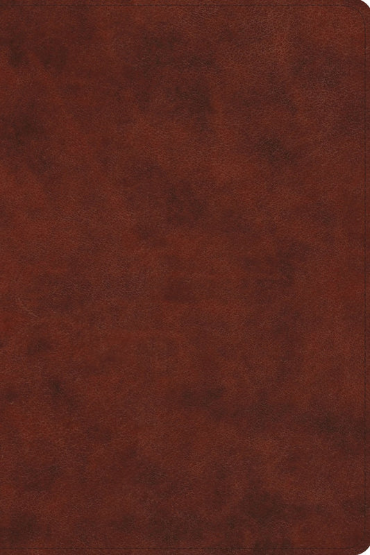 ESV Everyday Gospel Bible-Chestnut TruTone