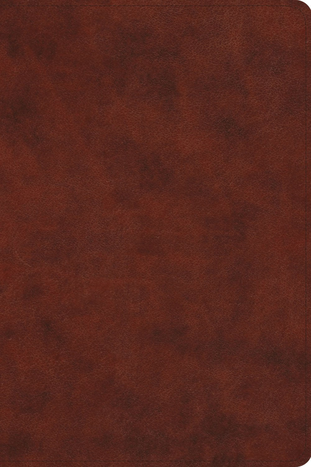ESV Gospel Transformation Study Bible-Chestnut TruTone