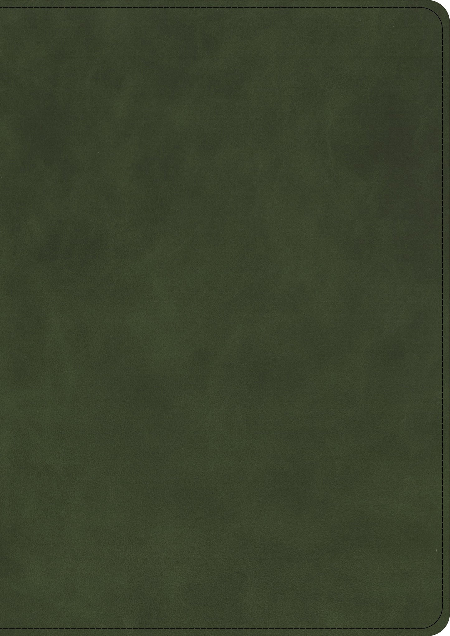 CSB She Reads Truth Bible (Holman Handcrafted Collection)-Olive Premium Calfskin