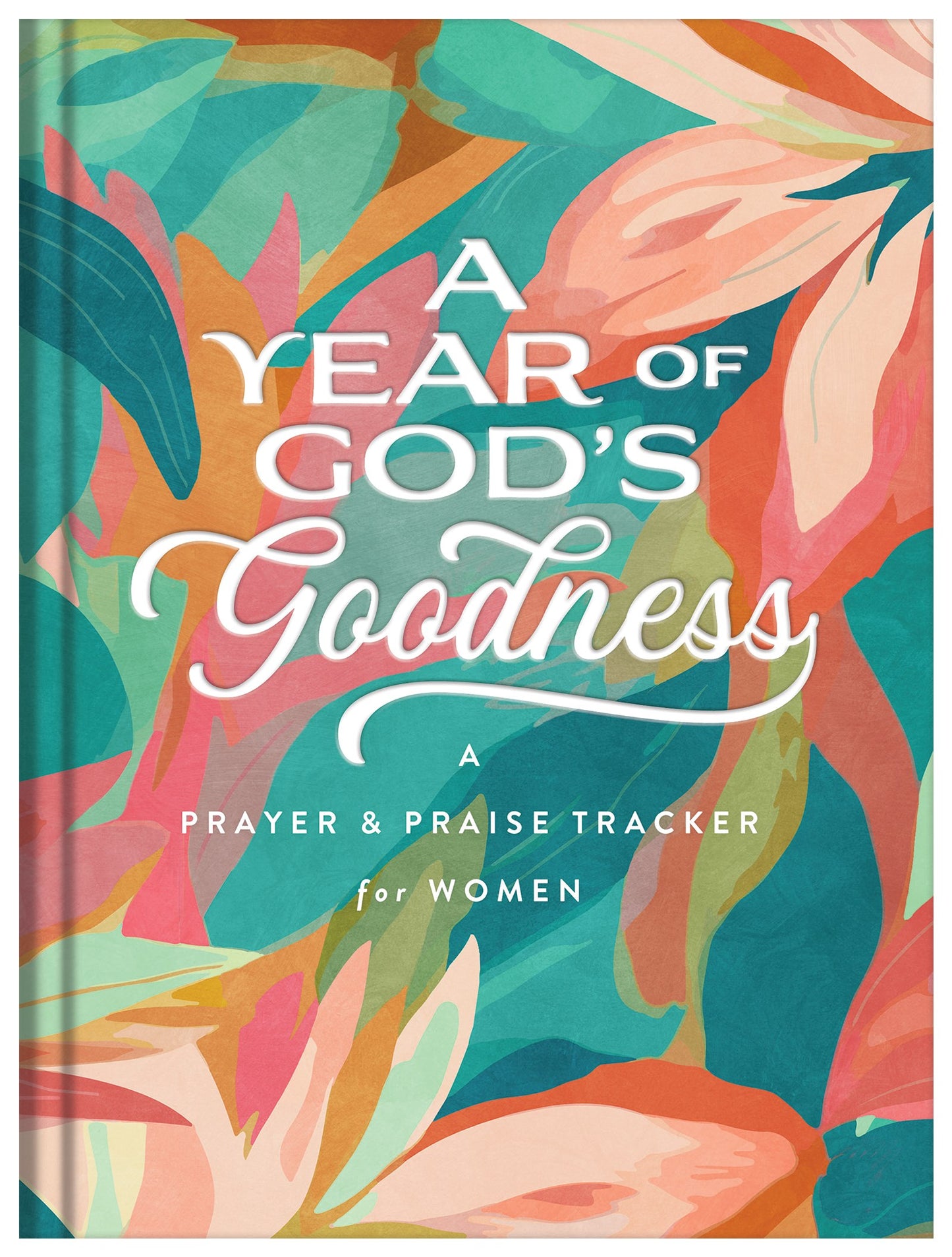 A Year Of God's Goodness
