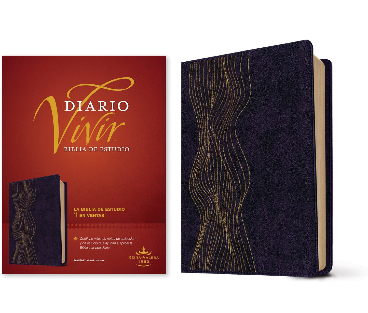 RVR 1960 Biblia de estudio del Diario Vivir (RVR60 Life Application Study Bible )-Dark Purple LeatherLike