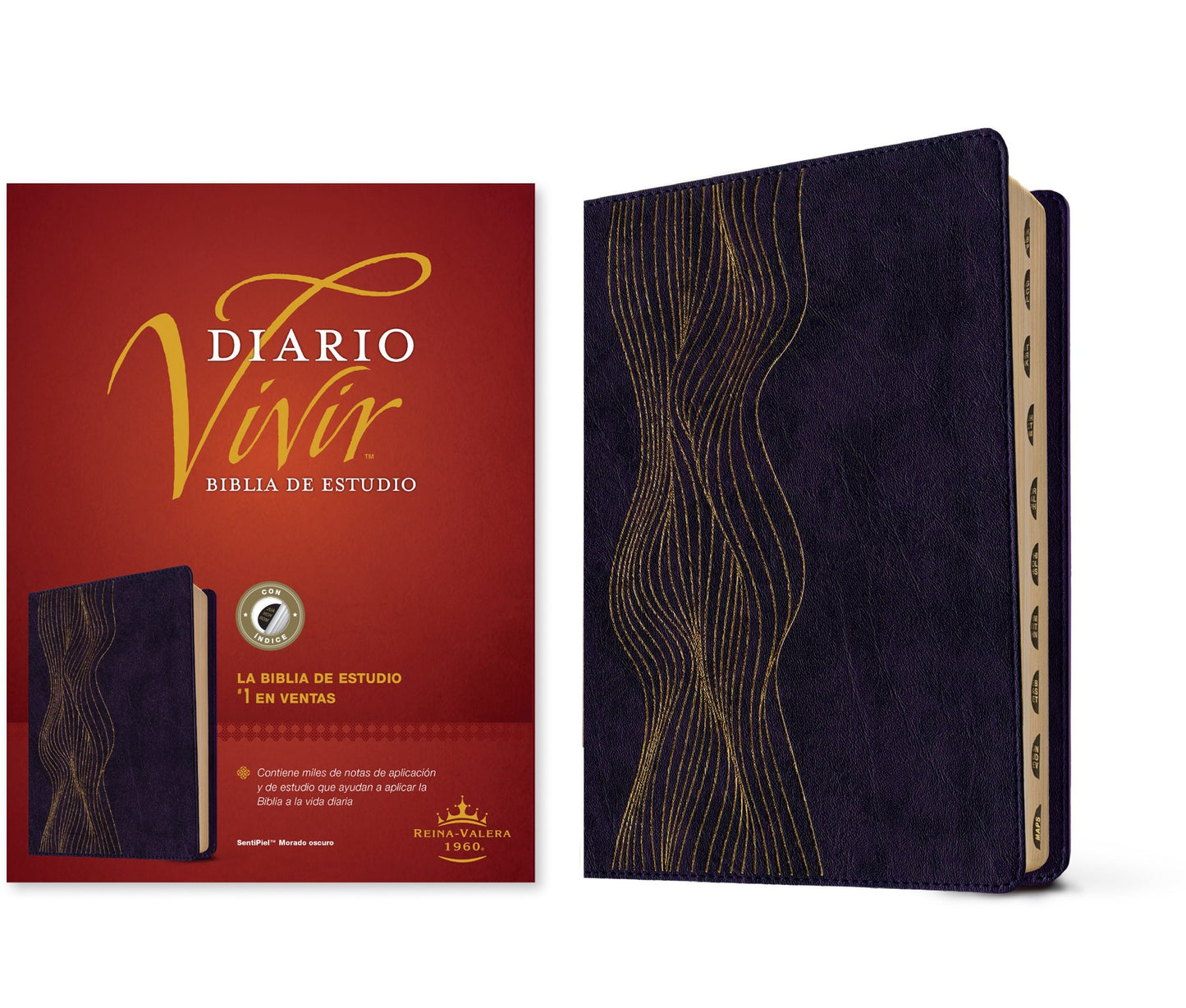 RVR 1960 Biblia de estudio del Diario Vivir (RVR60 Life Application Study Bible )-Dark Purple LeatherLike Index