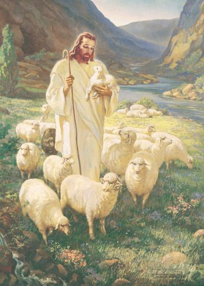 Pocket Card-Smallman Art: Good Shepherd (Psalm 23) (Pack Of 25)