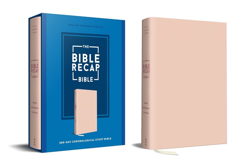 ESV The Bible Recap 365-Day Chronological Study Bible-Pink Imitation Leather