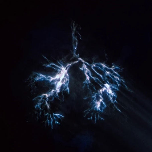 Audio CD-When Wind Meets Fire