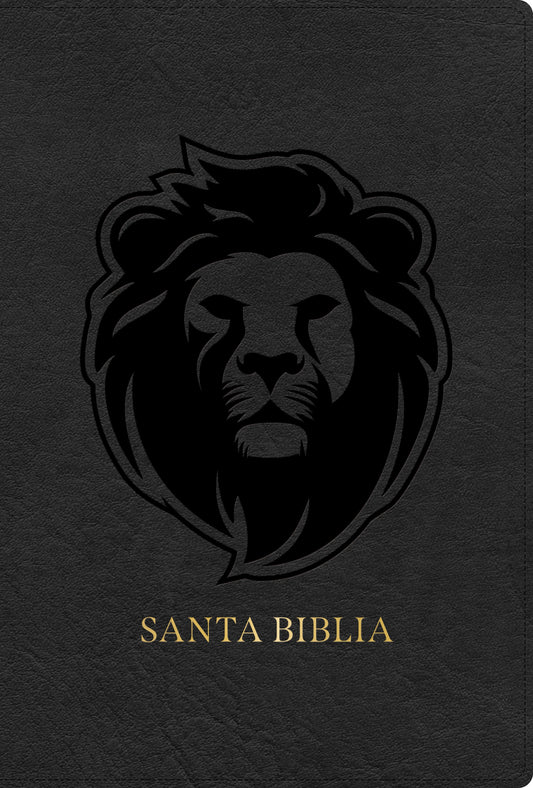 RVR 1960 Biblia Letra Grande Tamano Manual  Edicion Especial (Hand Size Giant Print)-Ash LeatherTouch