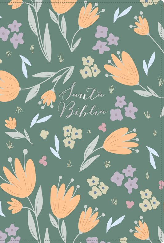 RVR 1960 Biblia Letra Grande Tamano Manual  Edicion Especial (Hand Size Giant Print)-Green LeatherTouch