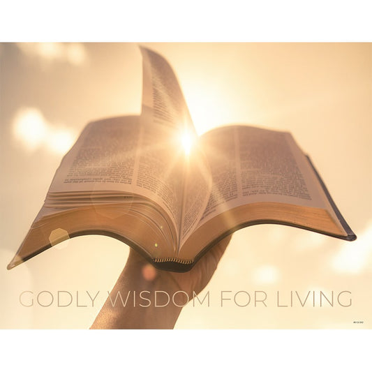 UMI WINTER 2024 Adult Quarterly Theme Poster (12-Adult)