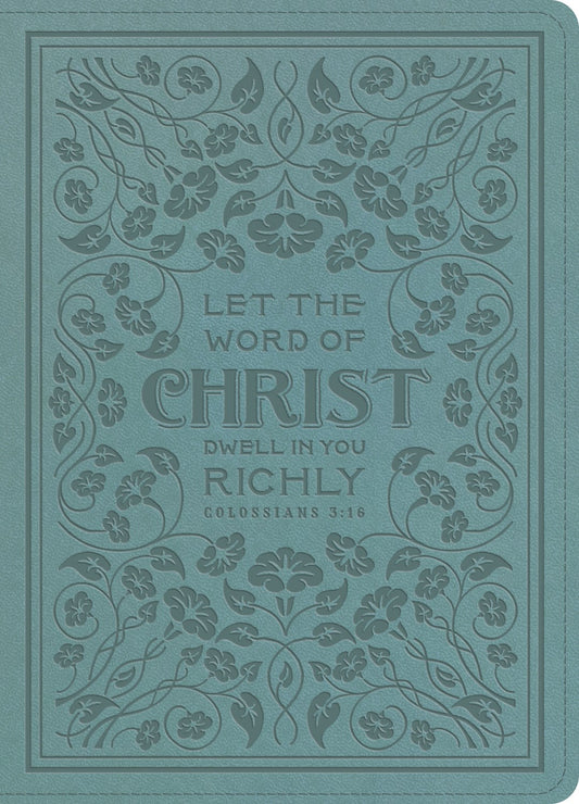 ESV Illuminated Bible-Art Journaling Edition-Paris Sky Colossians 3:16 Design Trutone