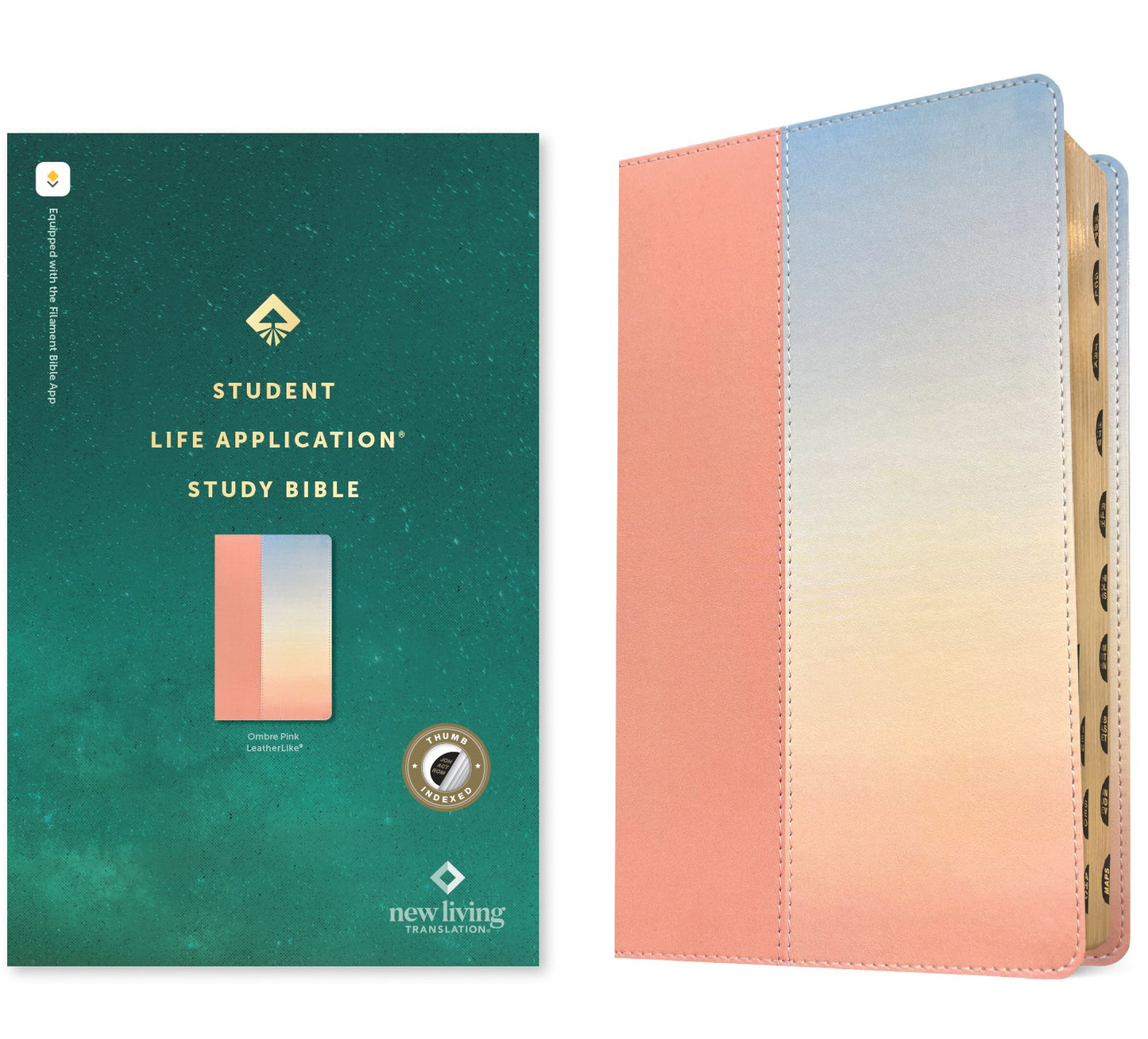 NLT Student Life Application Study Bible  Filament Enabled-Ombre Pink LeatherLike Indexed