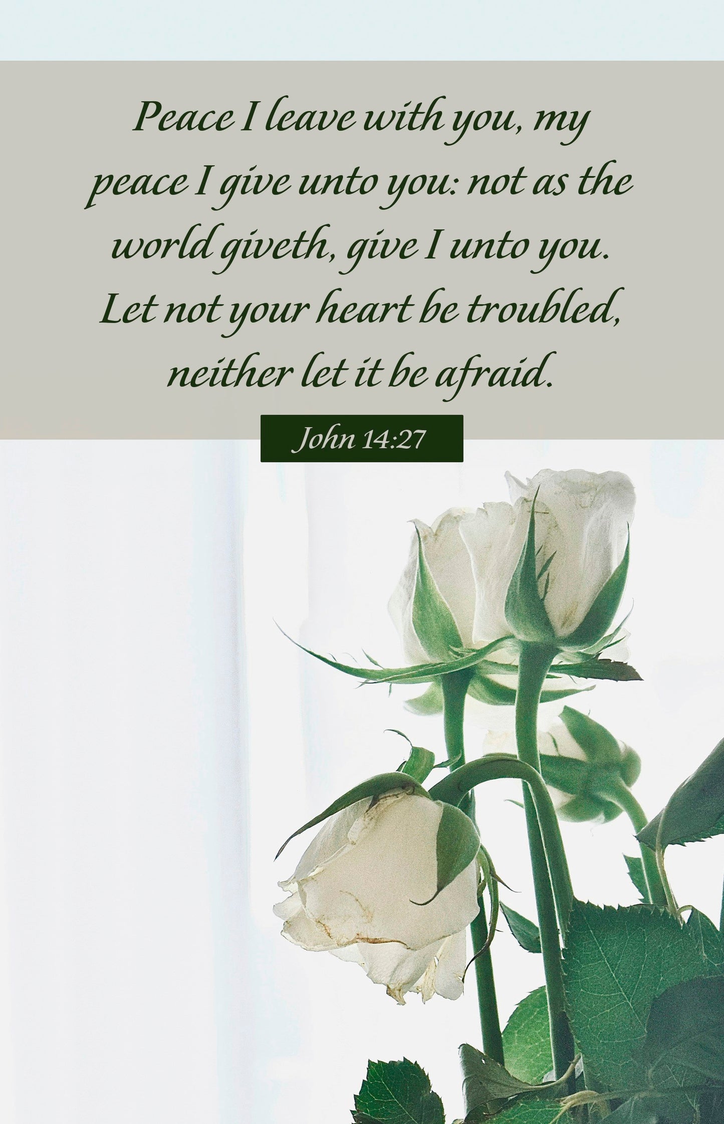 Bulletin-Peace I Leave With You  Peace I Give Unto You (John 14:27  KJV) (Pack Of 100)