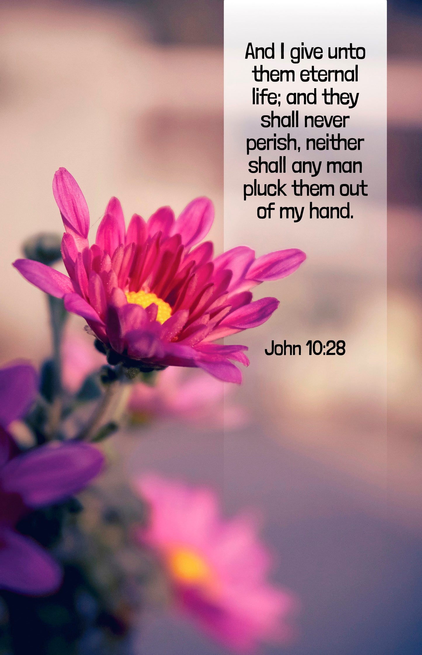 Bulletin-And I Give Unto Them Eternal Life...Pluck Them Out Of My Hand (John 10:28  KJV) (Pack Of 100)