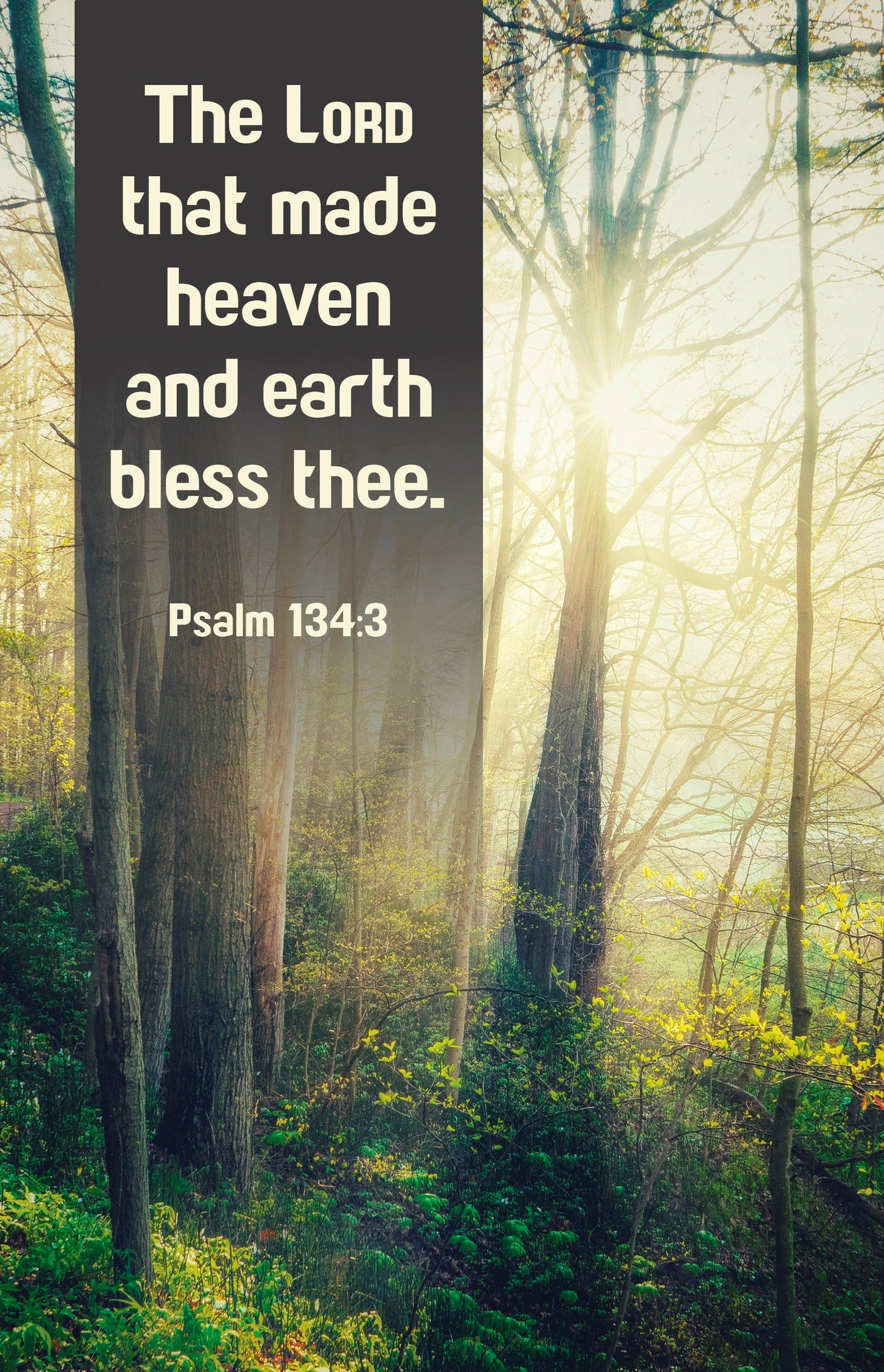 Bulletin-The Lord That Made Heaven And Earth Bless Thee (Psalm 134:3  KJV) (Pack Of 100)