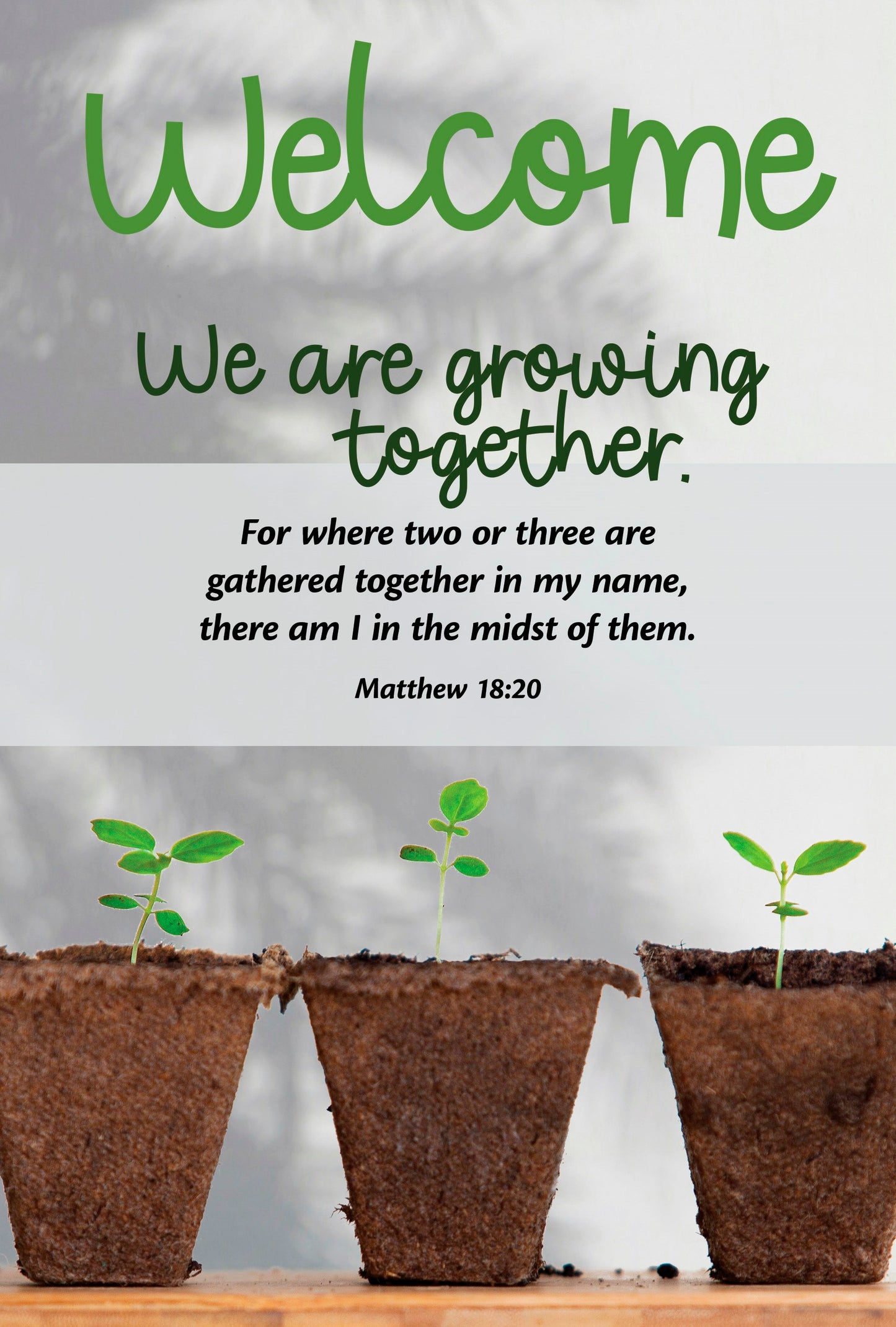 Welcome Folder-Guest: We Are Growing Together (Matthew 18:20  KJV) (Pack Of 12)