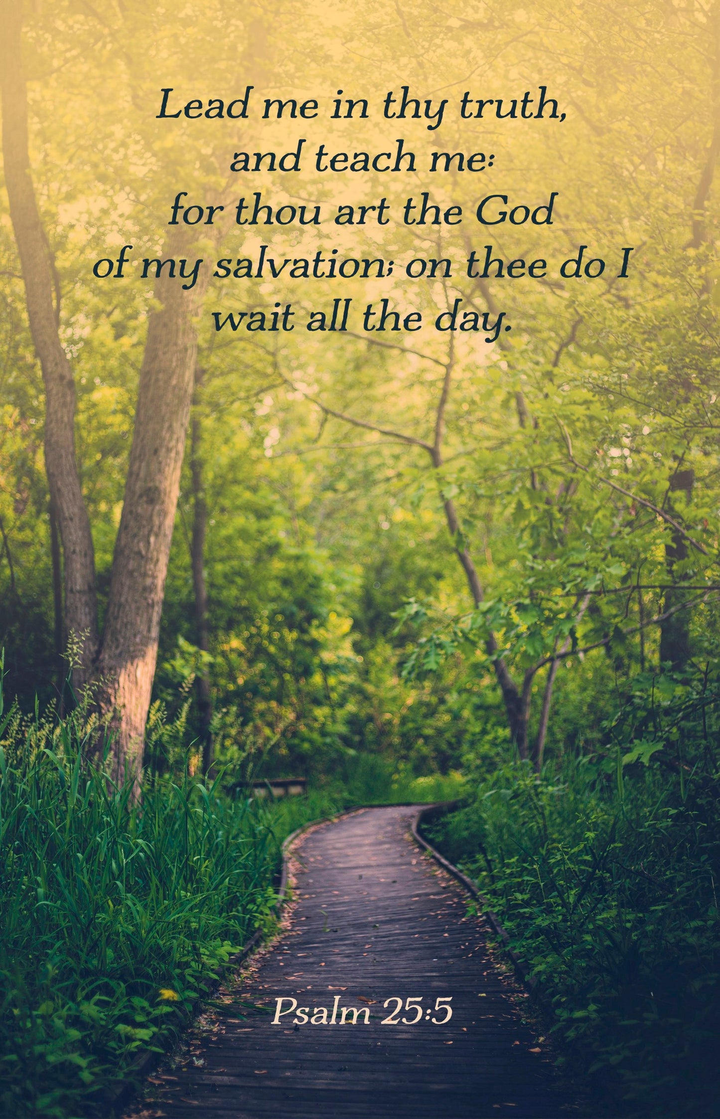 Bulletin-Lead Me In Thy Truth And Teach Me (Psalm 25:5  KJV) (Pack Of 100)