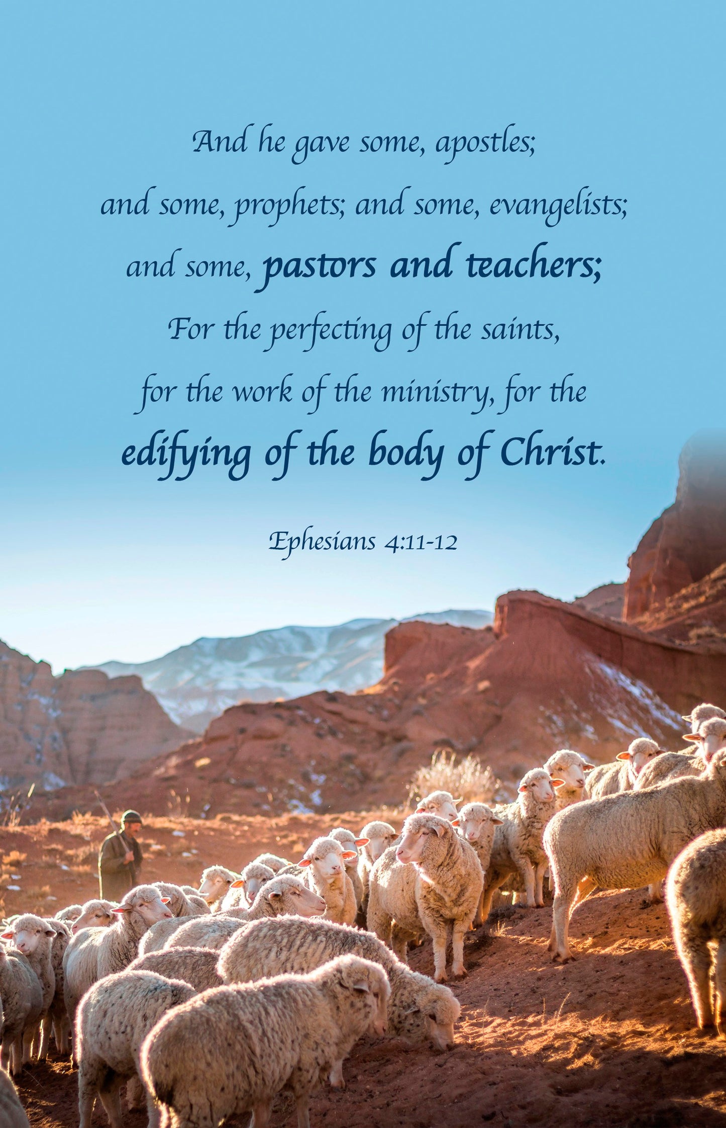 Bulletin-Pastor Appreciation: And He Gave (Ephesians 4:11-12  KJV) (Pack Of 100)