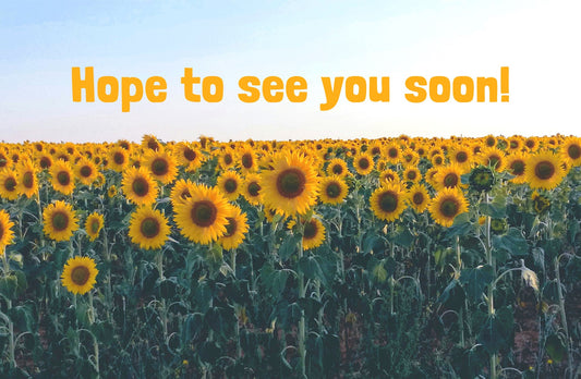 Visitor Postcard-Hope To See You Soon! (Romans 5:1  KJV) (Pack Of 25)