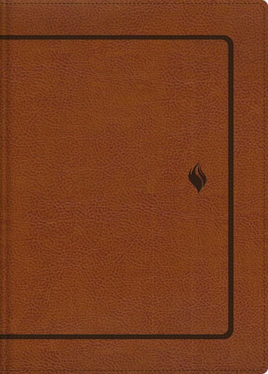 RVR 1960 Biblia de Estudio de la Vida Plena  Edicion Clasica-Two Tone Brown Leathersoft