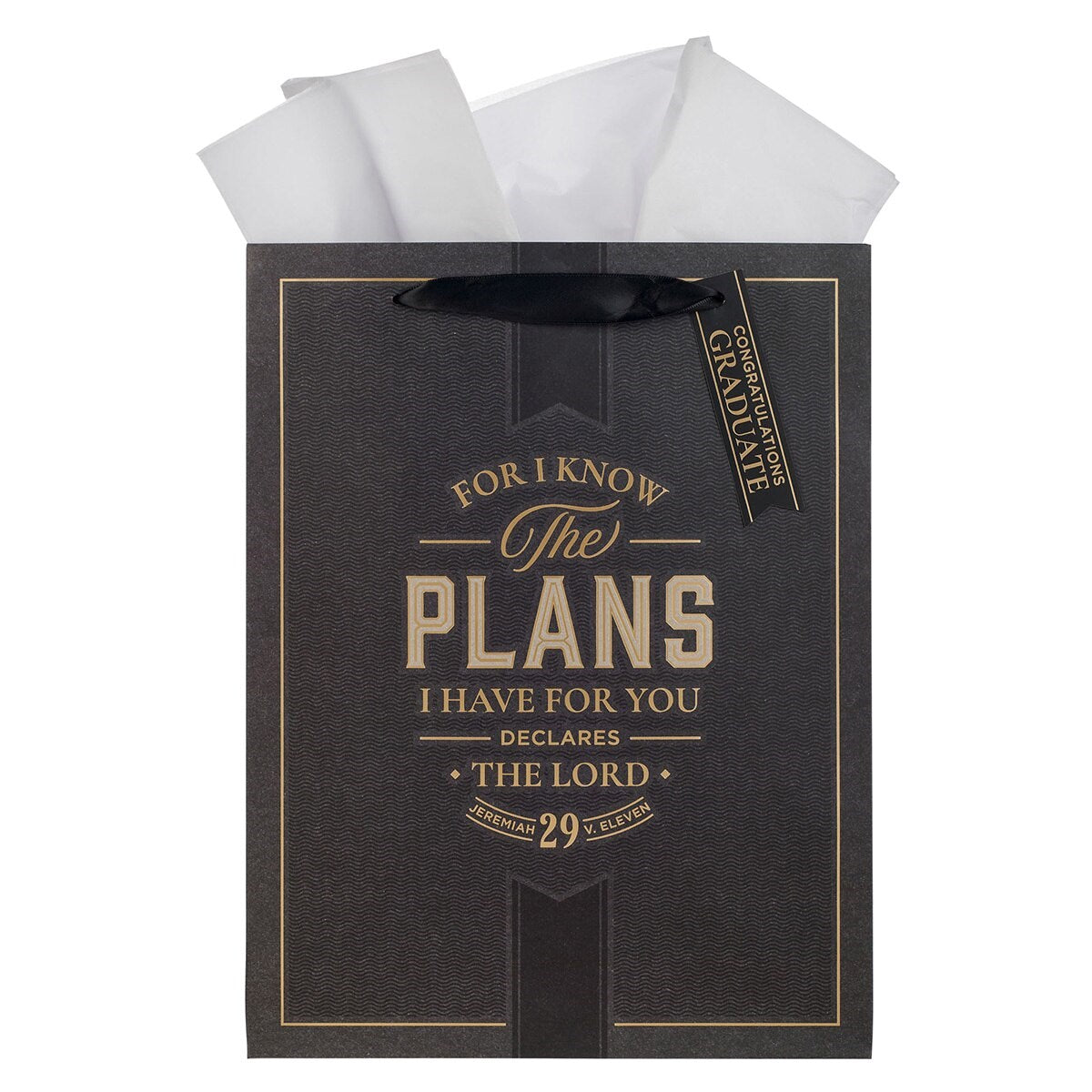 Gift Bag-Large Portrait-I Know the Plans Jer. 29:11