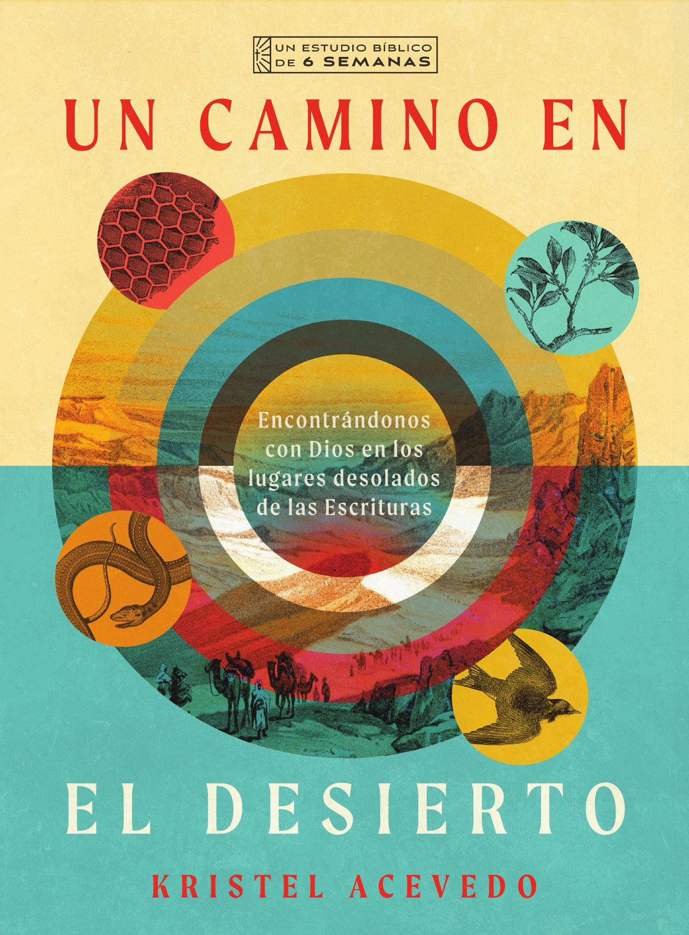 Un Camino En El Desierto (A Path In The Desert)