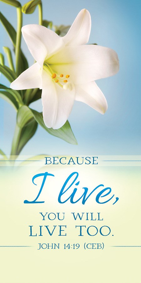 Offering Envelope-Because I Live/Easter Lilys (John 14:19) (Pack Of 100)