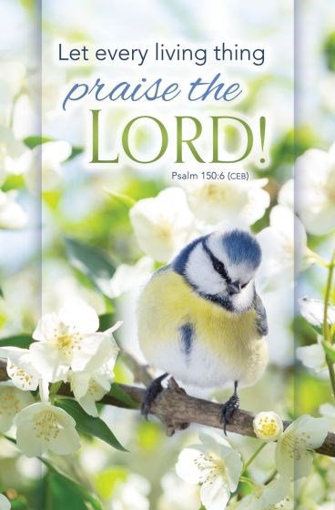 Bulletin-Let Every Living Thing That Has Breath Praise The Lord (Psalm 150:6) (Pack Of 100)