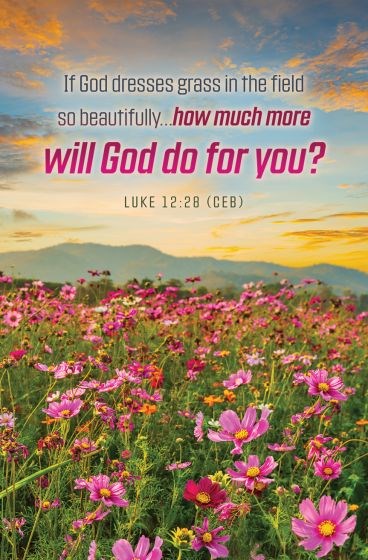 Bulletin-If God Dresses Grass In The Field (Luke 12:28) (Pack Of 100)