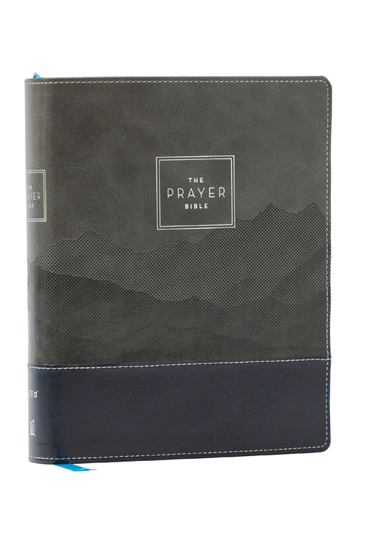 NIV The Prayer Bible (Comfort Print)-Black/Gray Leathersoft