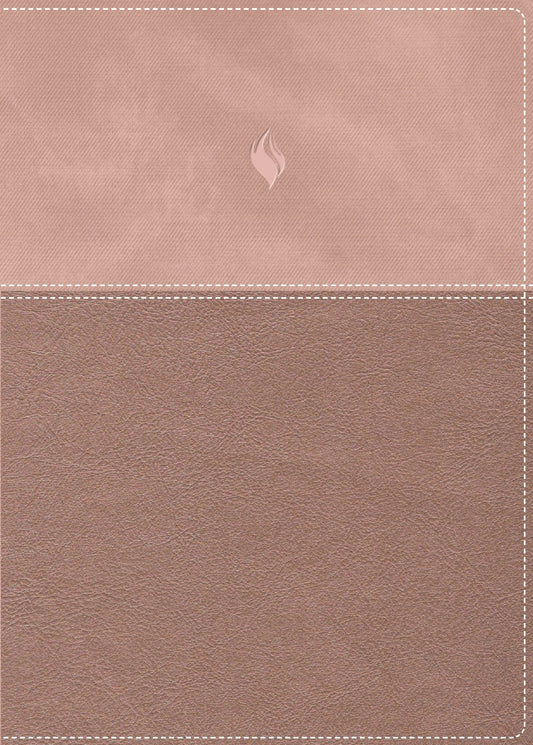 RVR 1960 Biblia de Estudio de la Vida Plena  Edicion Clasica (Full Life Study Bible)-Pink DouTone Leathersoft