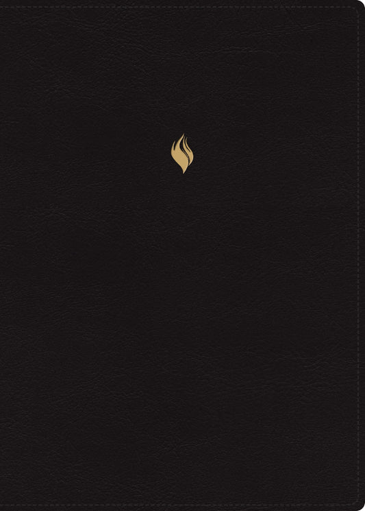 RVR 1960 Biblia de Estudio de la Vida Plena  Edicion Clasica-Black Leathersoft Indexed