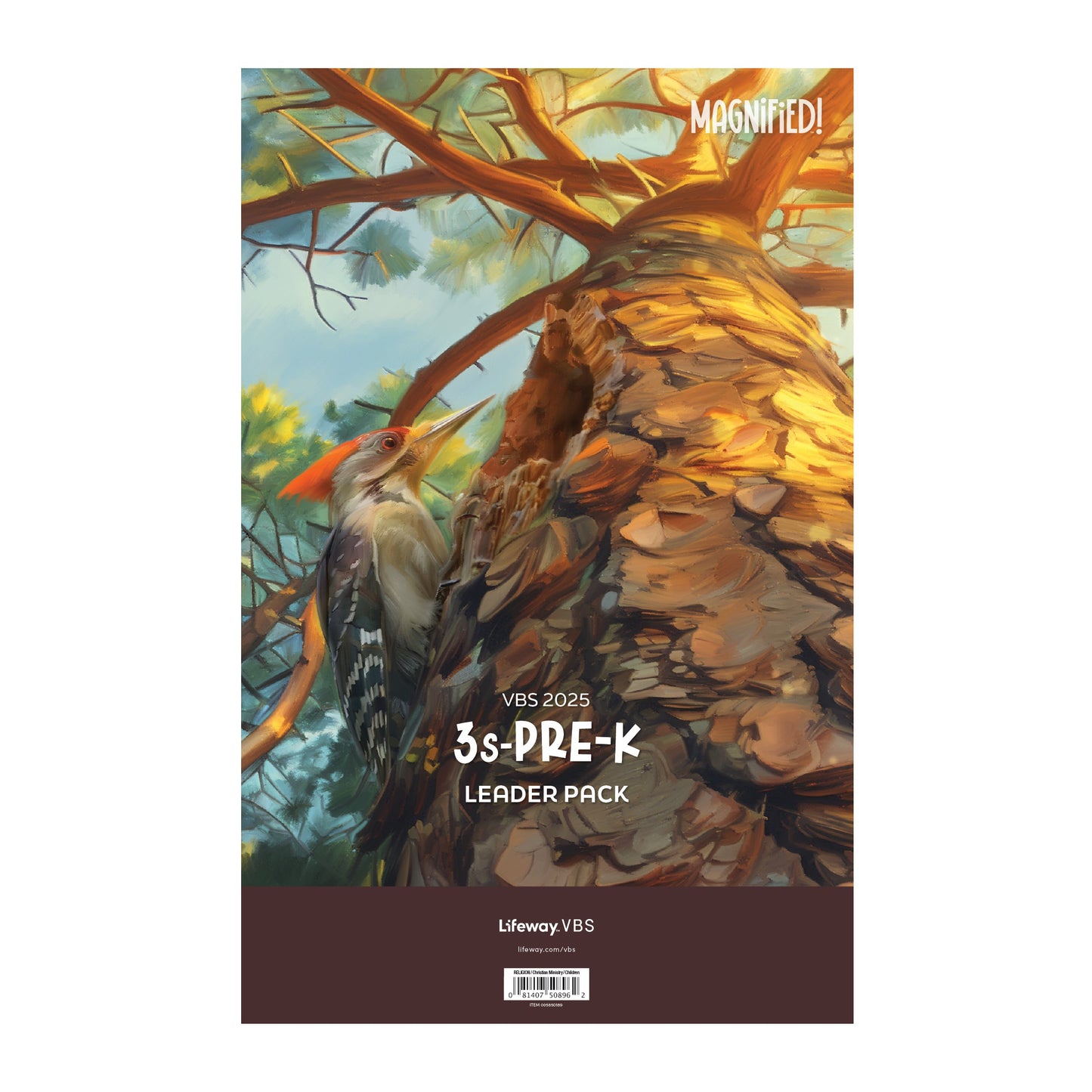 VBS-Magnified!: 3s-PreK Leader Pack (2025)